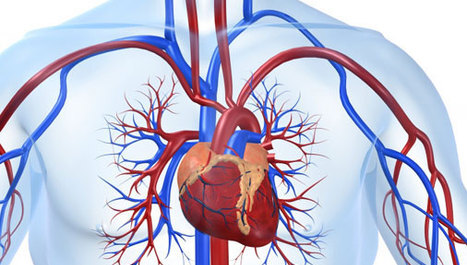 Studija o utjecaju testosterona na zdravlje srca