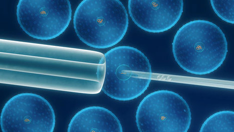 Novi uvid u djelovanje matičnih stanica
