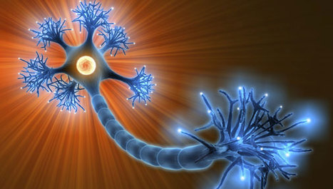 Bolesti motornog neurona povezane s kolesterolom