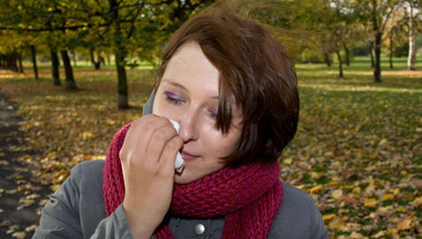 Prehlada ili gripa ili alergija?