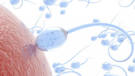Štetan utjecaj kemikalija na spermije