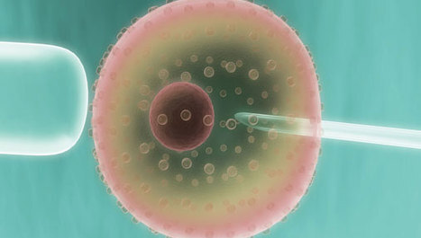 Mogućnost stvaranja neograničene zalihe jajnih stanica?