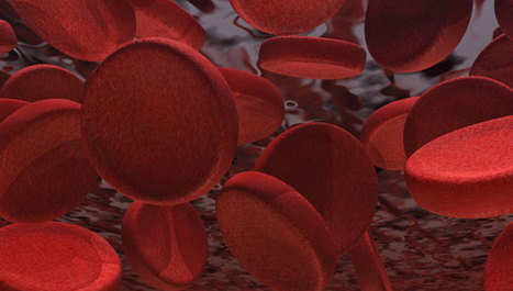 17. travnja, Svjetski dan hemofilije
