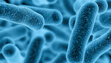 Bioaktivno staklo uništava E.coli
