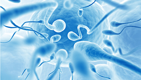 Utjecaj prehrane na brojnost spermija