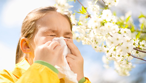 Alergije na pelud kod djece