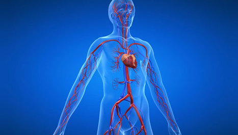 Nanočestice u tretiranju bolesti srca