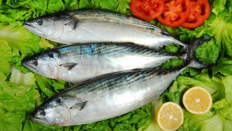 Riba u prehrani smanjuje smrtnost od raka prostate