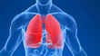 Nova kampanja posvećena zdravlju pluća