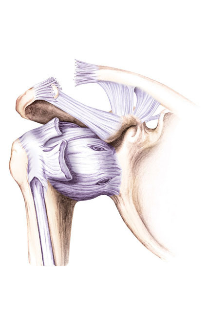 kako smanjiti bol u zglobovima ruku jaka bol u meniskusu zgloba koljena