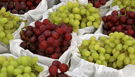 Detoksikacija grožđem