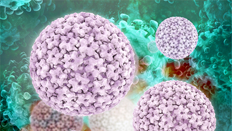 Porast broja cijepljenih protiv HPV-a 
