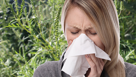Alergijski rinitis - koji su simptomi i kako se liječi?