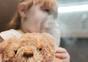 Astmatski napadaj u djece - simptomi i liječenje